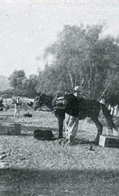 Grothe1902.211: Roadwork in the Shkumbin valley, 15 km below Elbasan (Photo: Hugo Grothe, 1902).