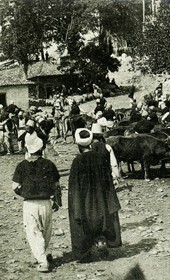 MSG088: Shkodra: Cattle market, ca. July 1914 (Marquis di San Giuliano Photo Collection).