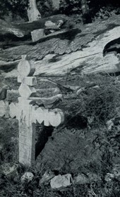 HAB15: “Old graveyard in Mamurras with carvings of ravens, doves and seabirds on the wooden crosses” (Photo: Hugo Bernatzik, 1929).