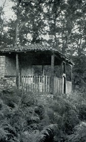 HAB16: “Old Catholic chapel in an oak forest near Mamurras” (Photo: Hugo Bernatzik, 1929).