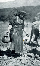 HAB72: “Bulgarian [i.e. Macedonian Slav] woman sowing corn behind a wooden plough” (Photo: Hugo Bernatzik, 1929).