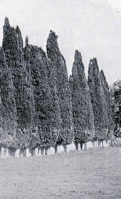 AD191: "The namazgjah (prayer grounds) of Ahmed Bey in Tirana" (Photo: Alexandre Degrand, 1890s).