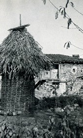 EVL062: Farmhouse and corn rick (Photo: Erich von Luckwald, ca. 1936).