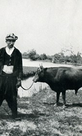 EVL067: Man and his ox in the marshes of Patok in the district of Laç (Photo: Erich von Luckwald, ca. 1936).