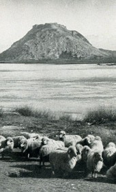 EVL082: A shepherd boy on the Bojana River, with the fortress of Shkodra in the distance (Photo: Erich von Luckwald, ca. 1936).